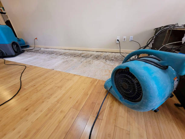 Professional Structural Drying technician working in Dundee, IL